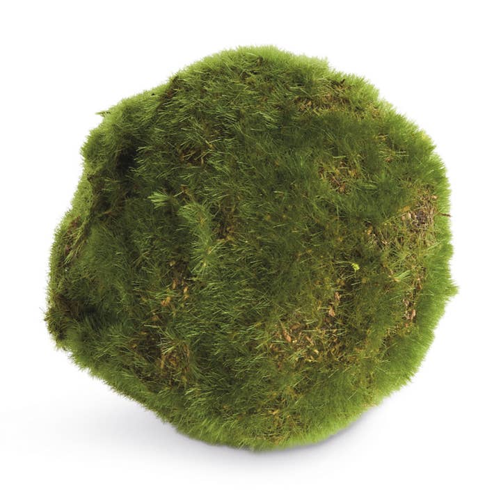 Set of six 4-inch moss-textured decorative orbs with organic irregular surface